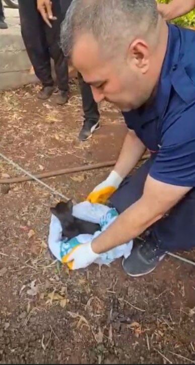 Osmaniye’de 18 Metrelik Kuyuya Düşen Yavru Kedi Kurtarıldı (1)