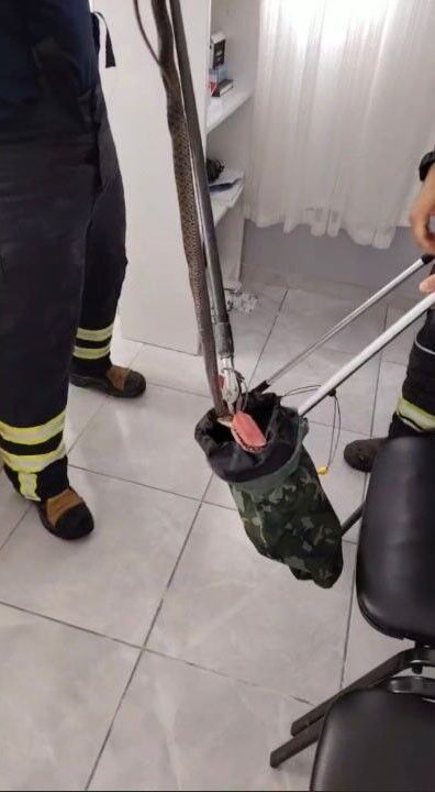 Osmaniye’de Aile Sağlığı Merkezine Giren Yılan Paniğe Neden Oldu (1)
