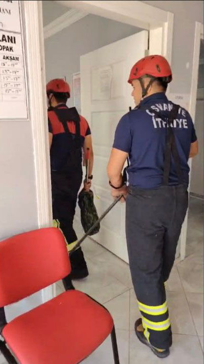 Osmaniye’de Aile Sağlığı Merkezine Giren Yılan Paniğe Neden Oldu (4)