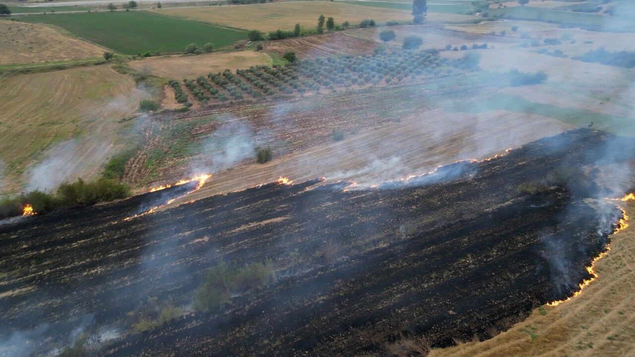 Osmaniye’de Anız Yangını Dronla Görüntülendi Orman Faciası Önlendi (4)