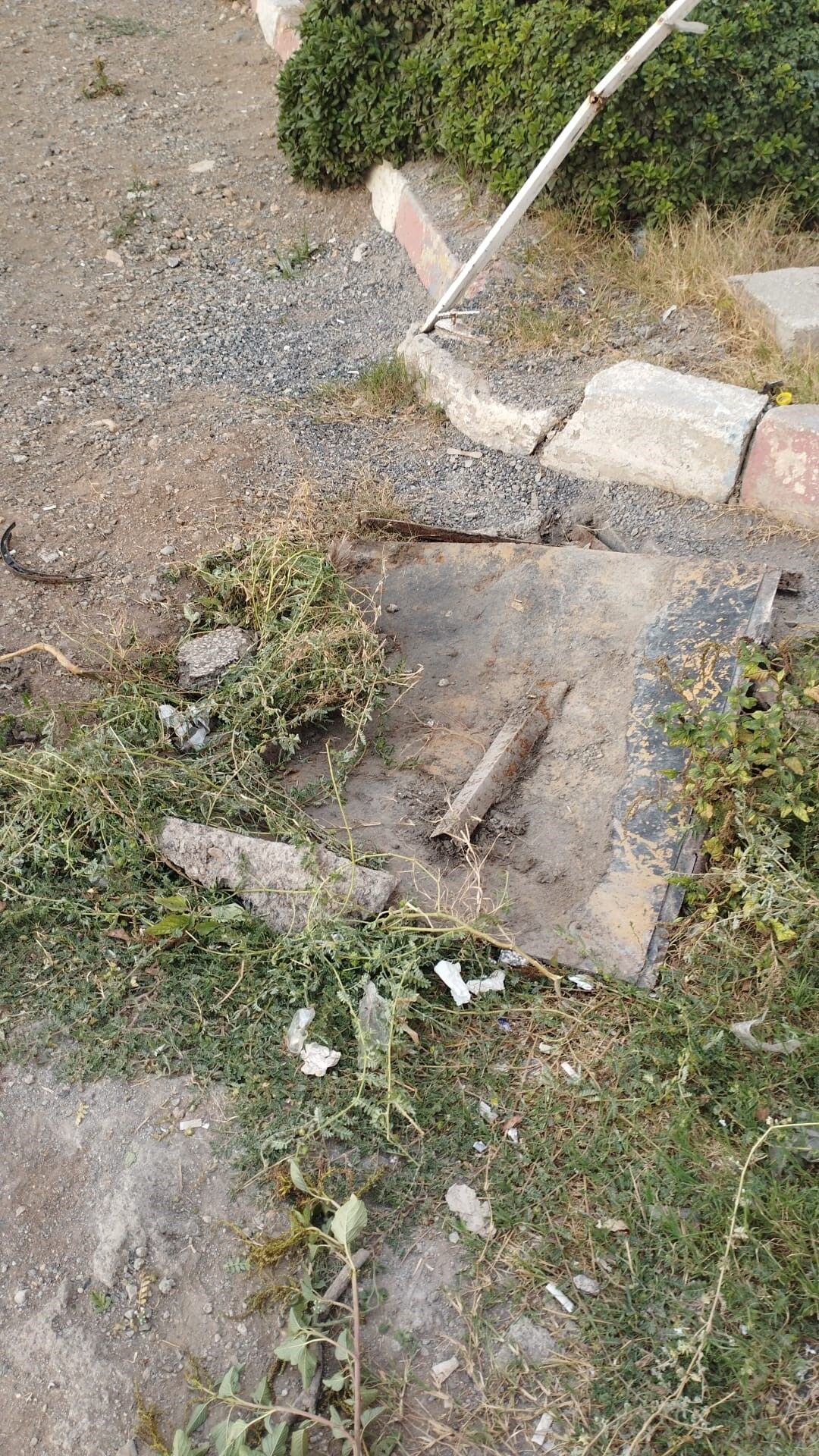 Rögara Düşen Yavru Kediyi Itfaiye Ekipleri Kurtardı (2)