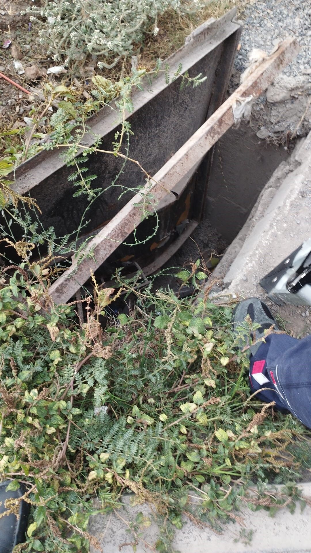 Rögara Düşen Yavru Kediyi Itfaiye Ekipleri Kurtardı (3)