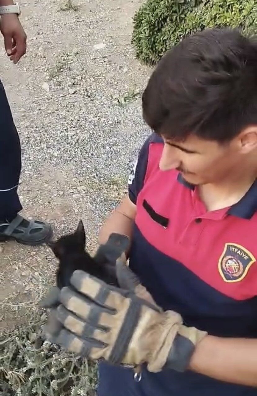 Rögara Düşen Yavru Kediyi Itfaiye Ekipleri Kurtardı (4)