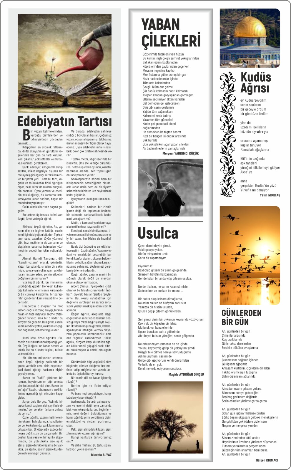 Salkim Söğüt 2-15