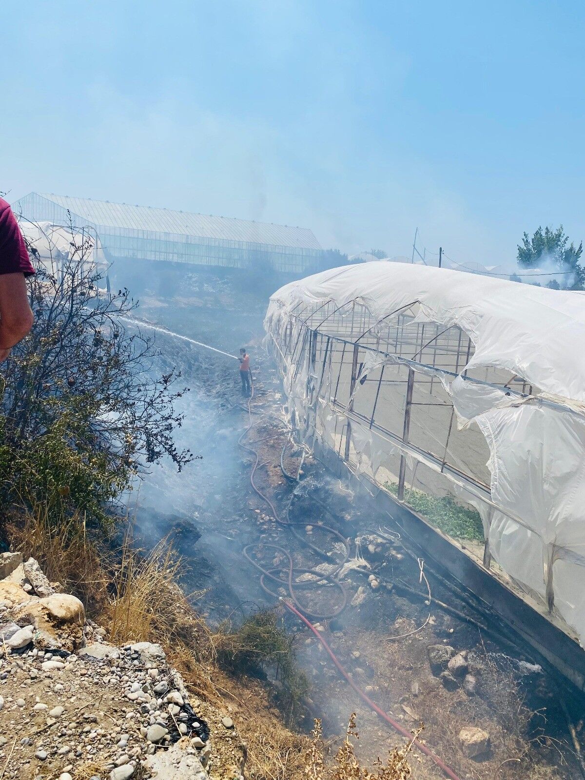 Serik'te Çalılıklarda Başlayan Yangın Seralara Sıçradı (2)