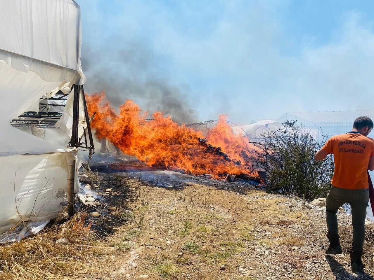 Serik'te Çalılıklarda Başlayan Yangın Seralara Sıçradı (4)