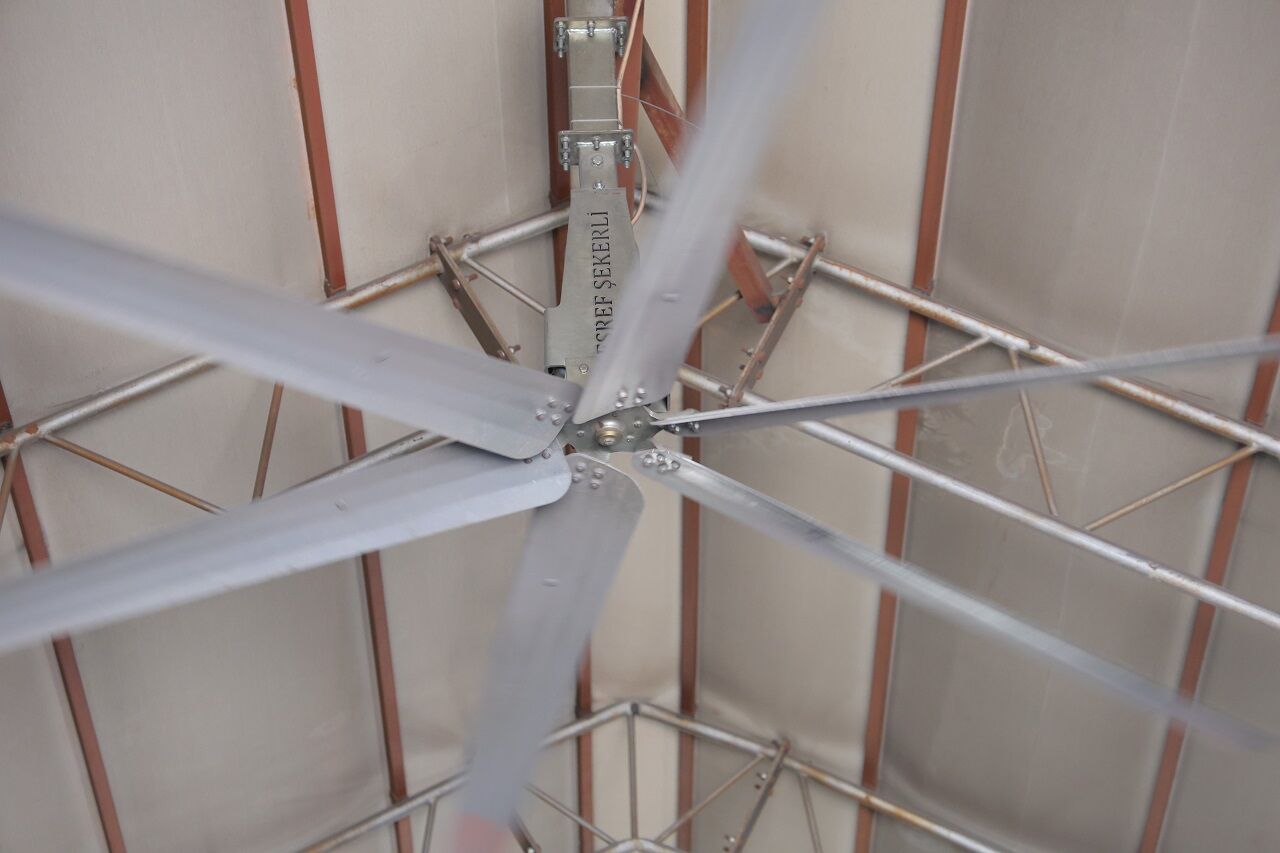 Sıcak Havalarda Havyanlar Dev Vantilatör Ile Serinliyor (5)