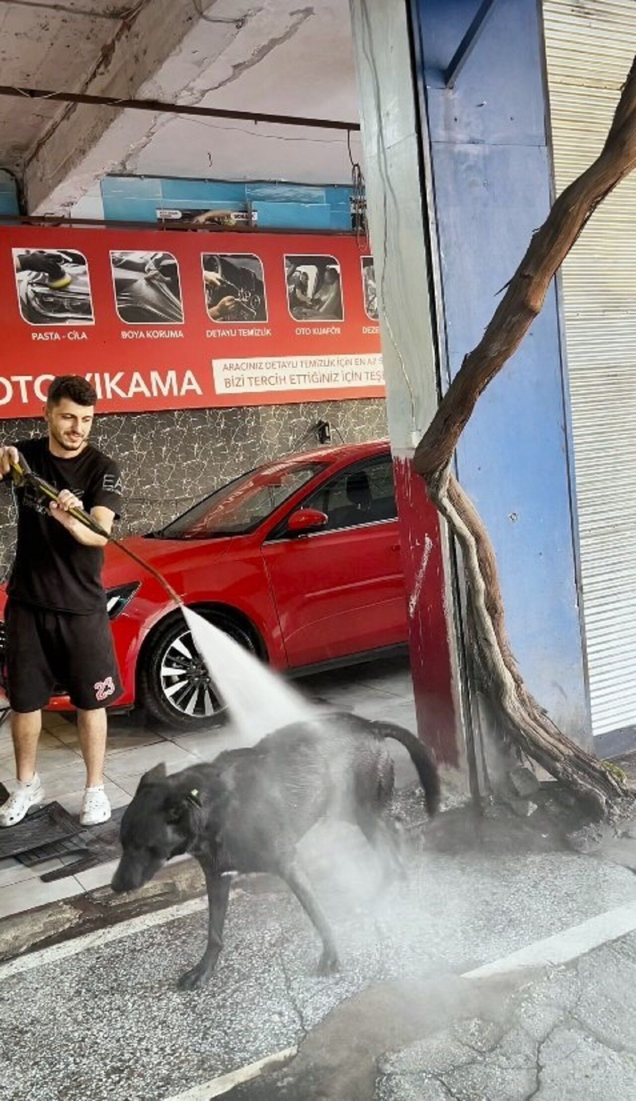 Sıcaktan Bunalan Köpeğin Serinleme Yöntemi Izleyenleri Gülümsetti (5)