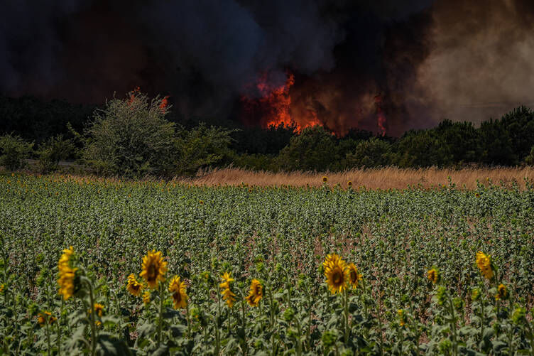 Tekirdağ Ve Çanakkale’de Orman Yangınlarıyla Mücadele Tüm Hızıyla Sürüyor (5)