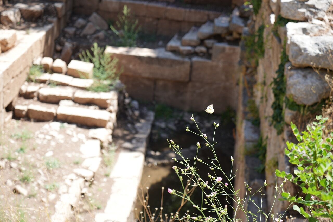 Termessos’ta Ilk Kazı Başladı Antik Anıt Mezar Ayağa Kalkıyor (6)