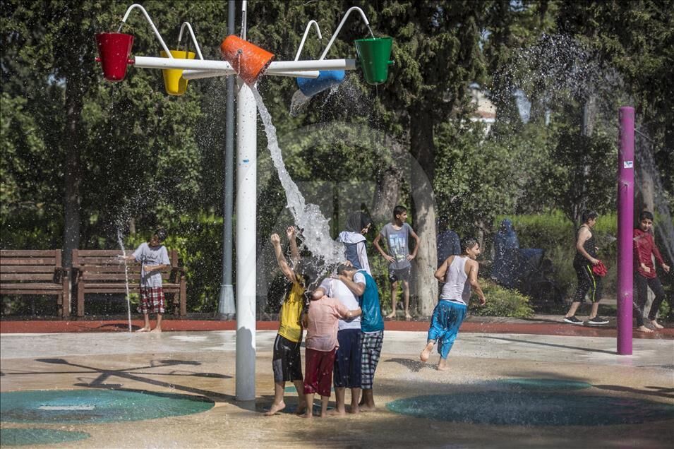 Thumbs B2 8D9055A45Addf38E2Da0698C9Bb44987