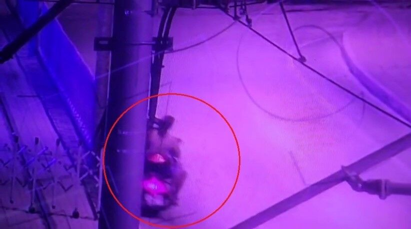 Tramvay Durağına Çarpan Motosikletteki 2 Kişi Yaralandı (2)