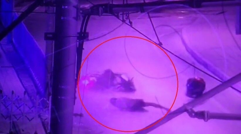 Tramvay Durağına Çarpan Motosikletteki 2 Kişi Yaralandı (3)