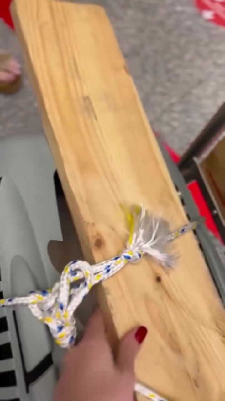 Uçağın Kargo Bölümüne Verdiği Evcil Hayvanlarını Teslim Alınca Çılgına Döndü (1)-1