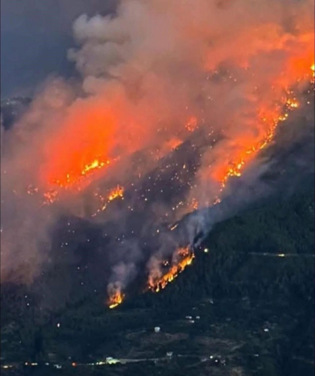 Yaban Keçileri Yangın Sebebiyle Doğal Yaşam Alanlarından Kaçarken Görüntülendi (4)