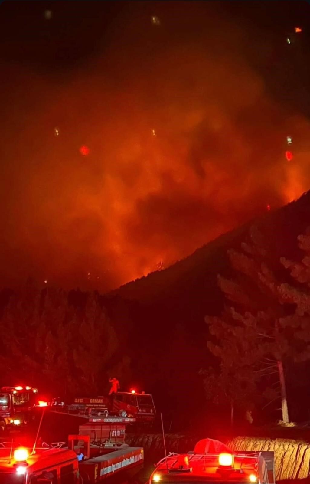Yaban Keçileri Yangın Sebebiyle Doğal Yaşam Alanlarından Kaçarken Görüntülendi (5)