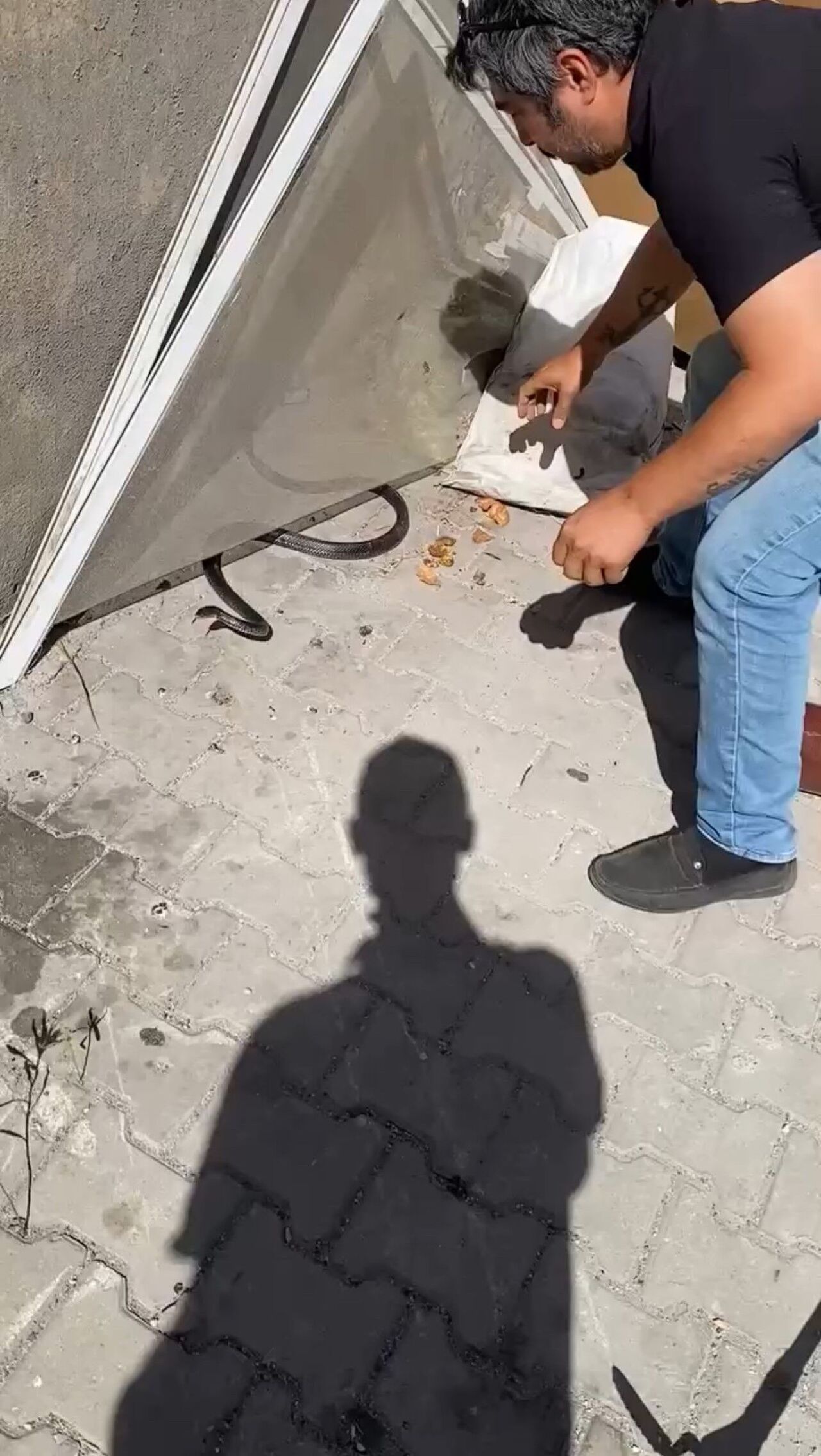 “Yılancı Kemal” Soğukkanlılığıyla Hayran Bıraktı Parmağını Isıran Yılanı Sakinlikle Uzaklaştırdı (4)