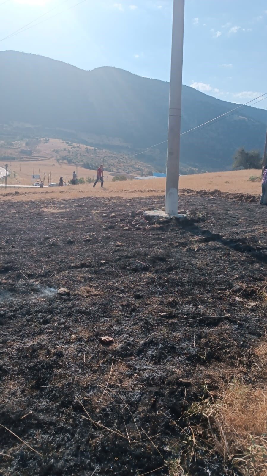 Yüksek Gerilim Hattına Çarpan Karga, 2 Dönüm Alanı Kül Etti (3)