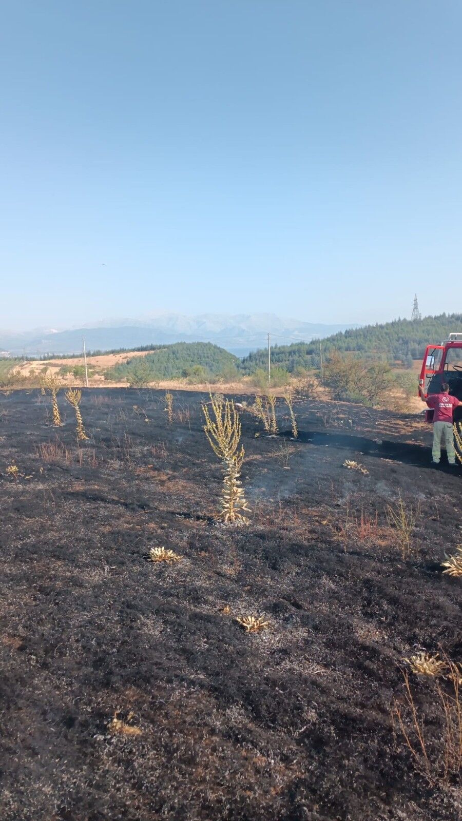 Yüksek Gerilim Hattına Çarpan Karga, 2 Dönüm Alanı Kül Etti (5)
