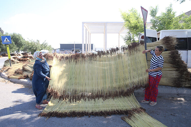 07 2024 00 A G U S T O S 05 20240814 2 65126781 103871383