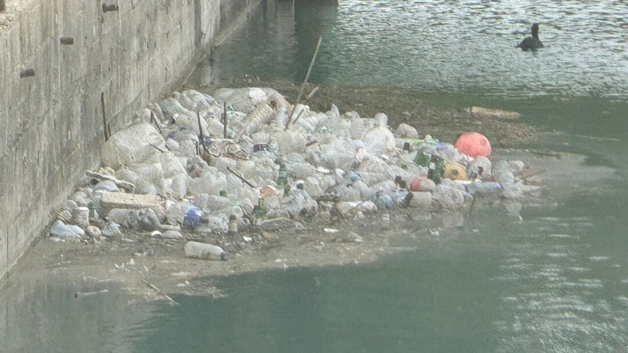 Adana Seyhan Nehri Yosun Ve Çöplerle Doldu. Su Durgunluğu Kirliliği Artırdı. Vatandaşlar Yetkililere Temizlik Çağrısı Yapıyor, Çözüm Bekliyor (3)