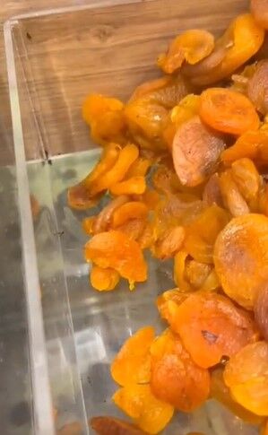 Adana’da Böceklenmiş Kuruyemişler İmha Edildi (4)