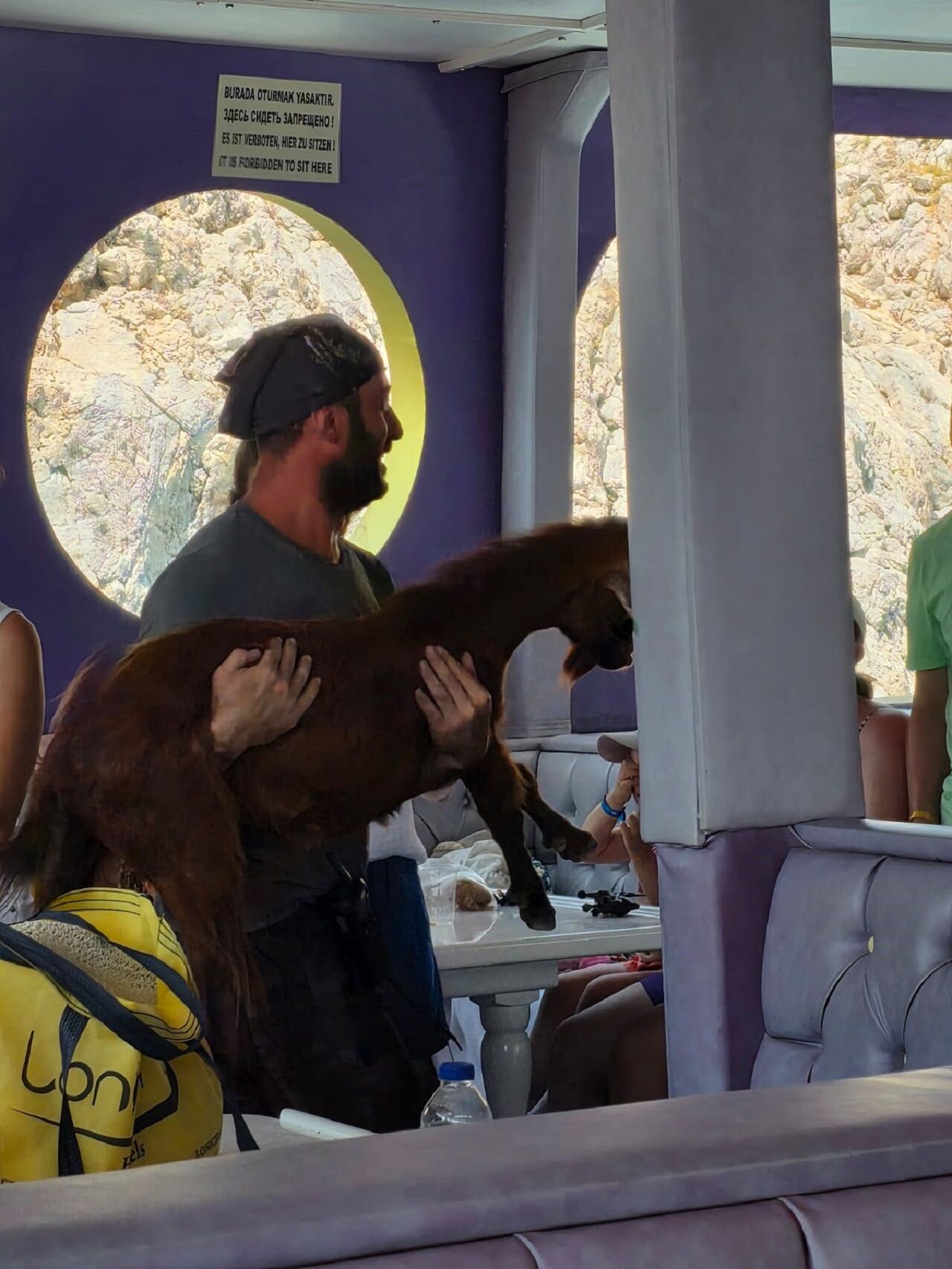 Alanya Kalesi Önünde Dağ Keçisi Kurtarma Operasyonu (1)