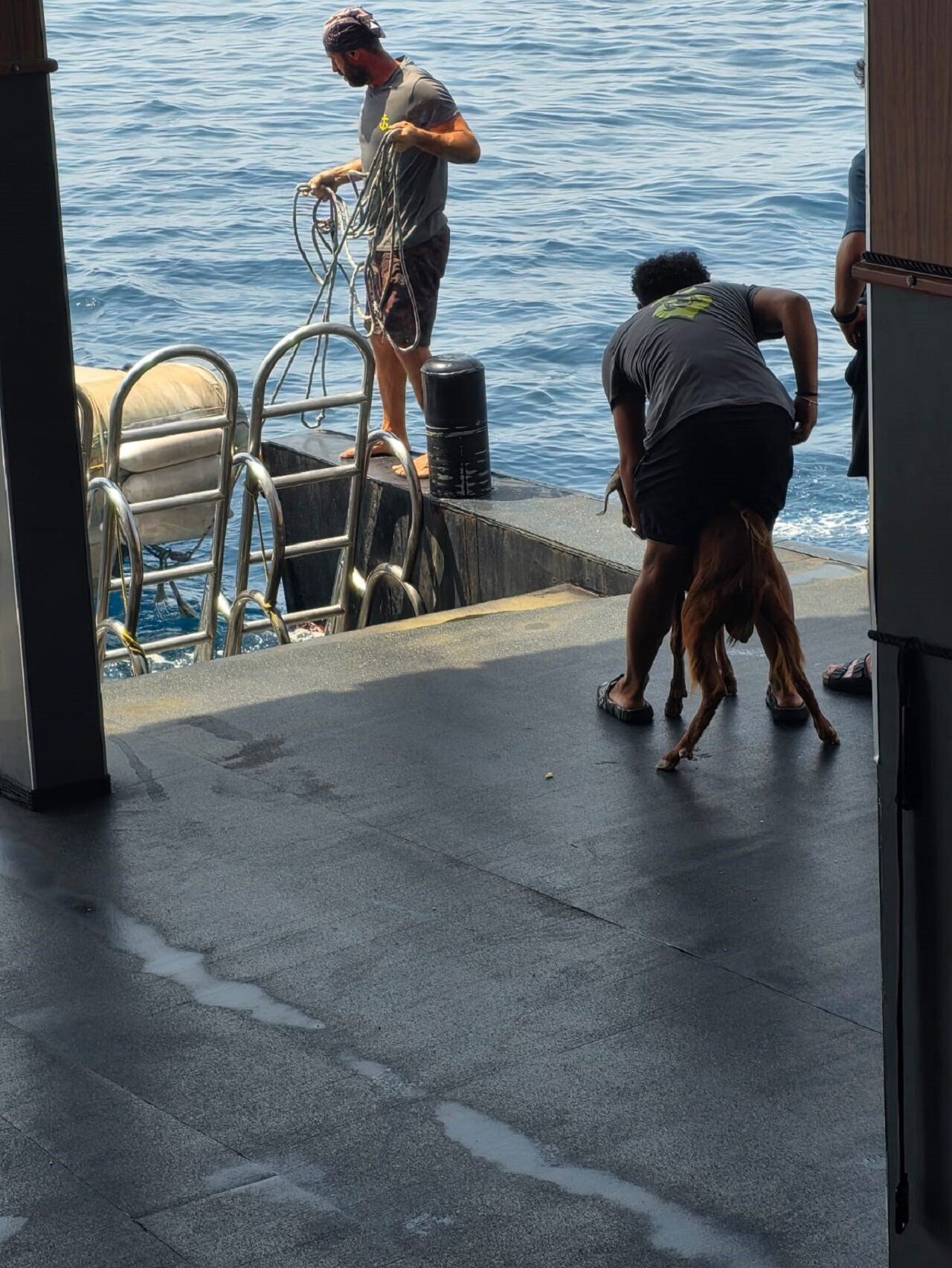 Alanya Kalesi Önünde Dağ Keçisi Kurtarma Operasyonu (2)