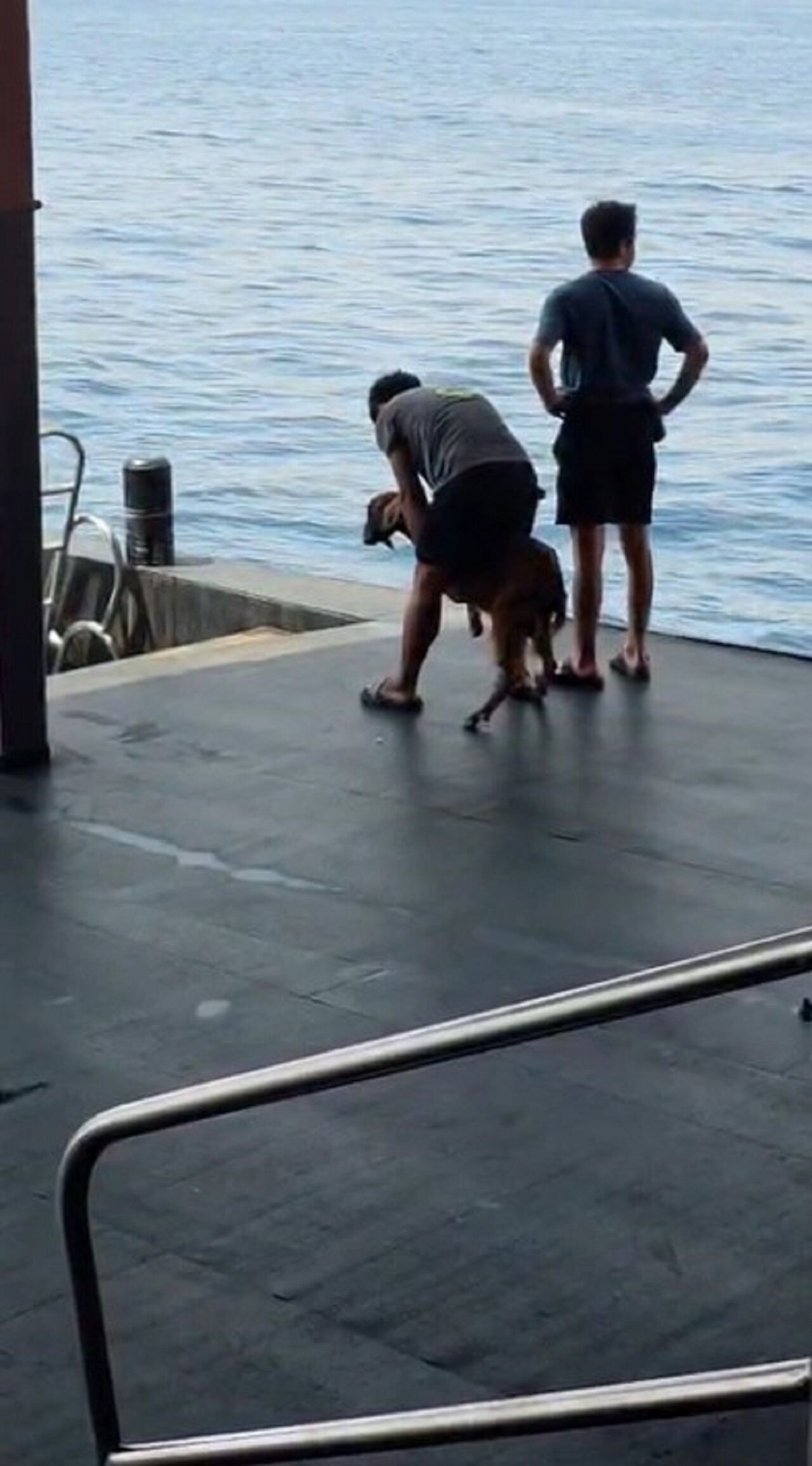 Alanya Kalesi Önünde Dağ Keçisi Kurtarma Operasyonu (4)