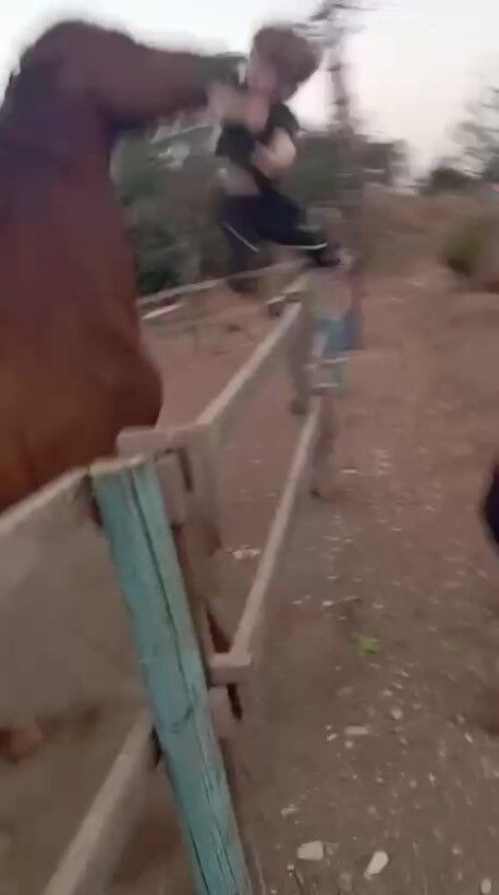 Antalya’da Korkunç Olay At Küçük Çocuğu Isırıp Savurdu (2)