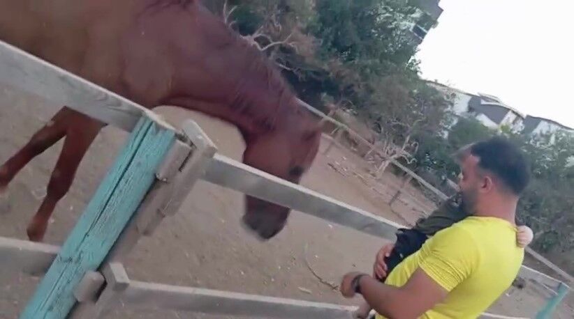 Antalya’da Korkunç Olay At Küçük Çocuğu Isırıp Savurdu (7)