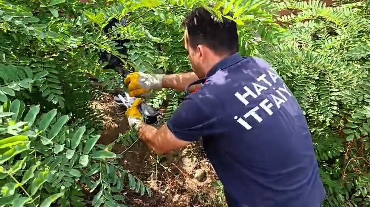 Ayağına Poşet Dolanan Kuşu Itfaiye Kurtardı (2)