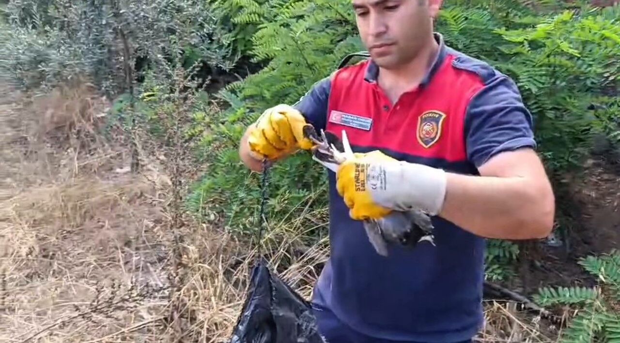Ayağına Poşet Dolanan Kuşu Itfaiye Kurtardı (3)
