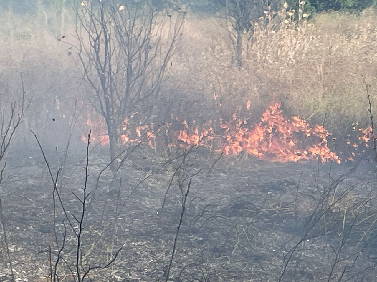 Burdur’da Arazi Yangınında 50 Dönüm Alan Zarar Gördü (2)