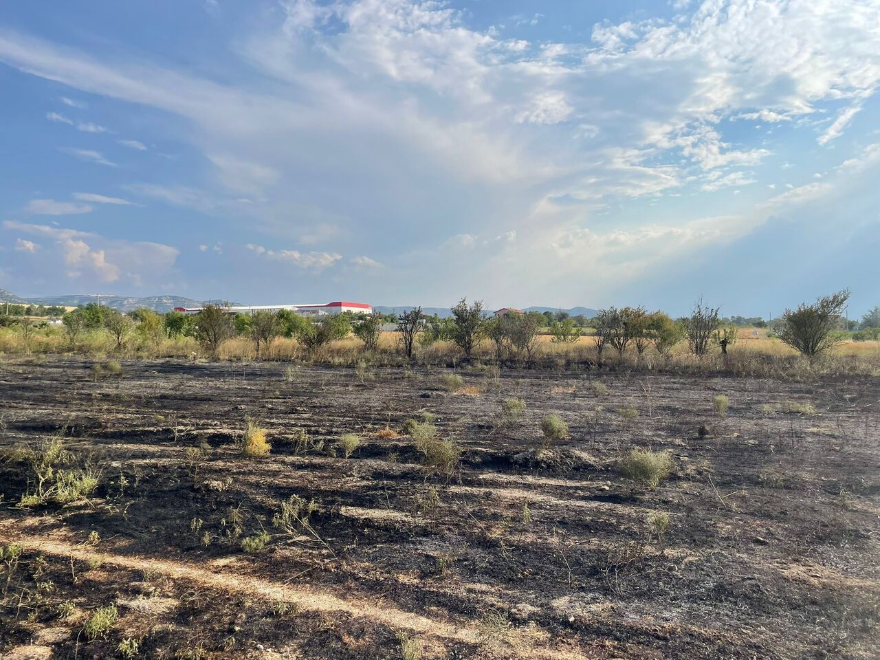 Burdur’da Arazi Yangınında 50 Dönüm Alan Zarar Gördü (6)