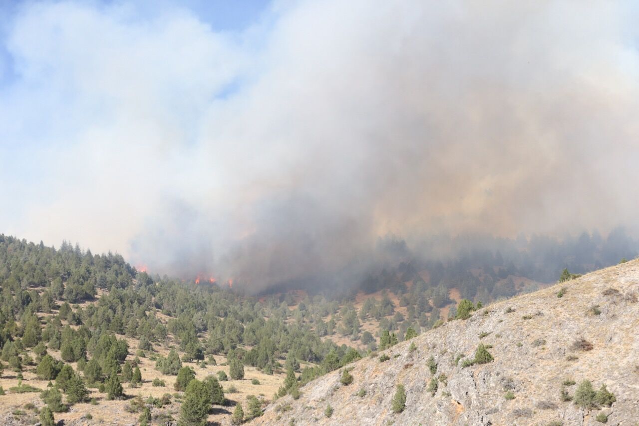 Büyük Aa 20250811 38802694 38802691 Kahramanmarasta Cikan Orman Yanginina Mudahale Ediliyor