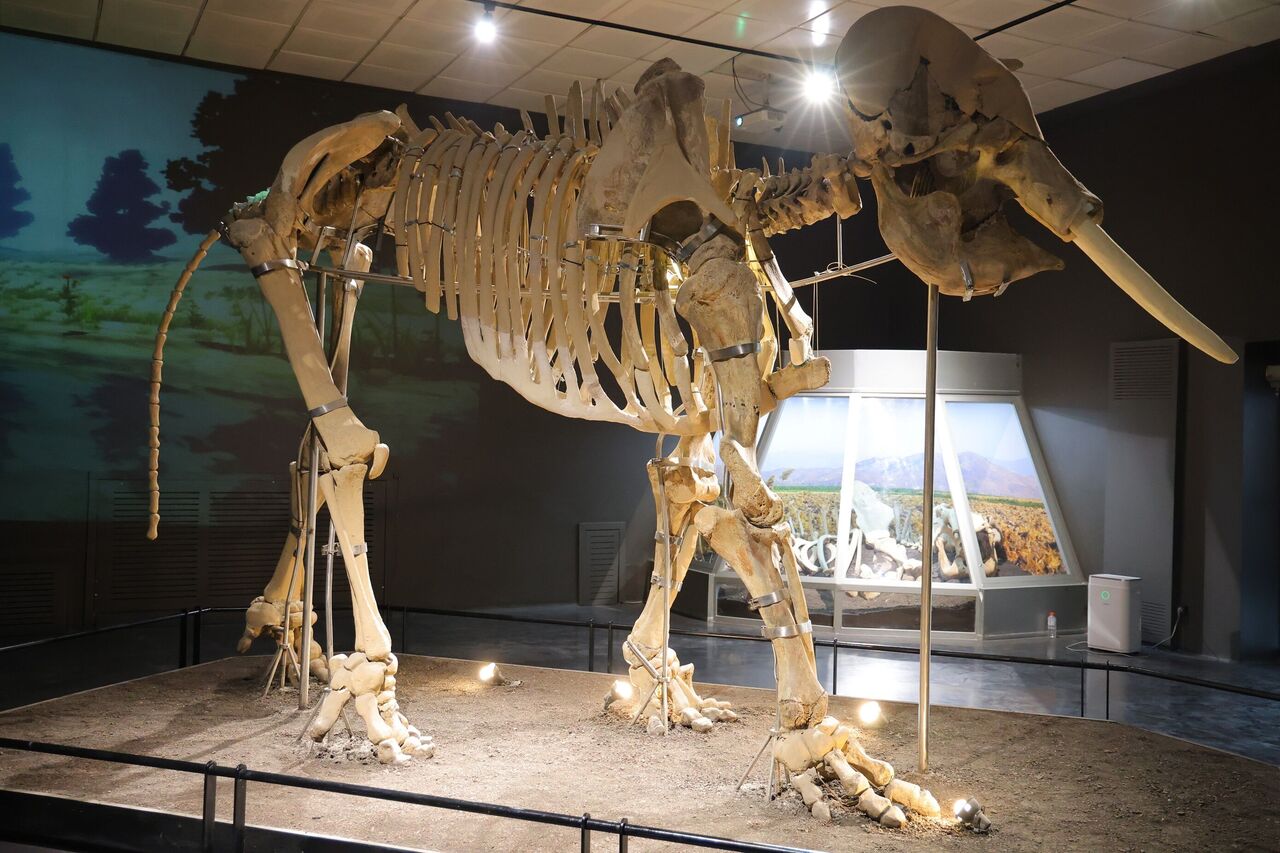 Depremden Sonra Kahramanmaraş’ta O Müze Kapılarını Yeniden Açtı (10)