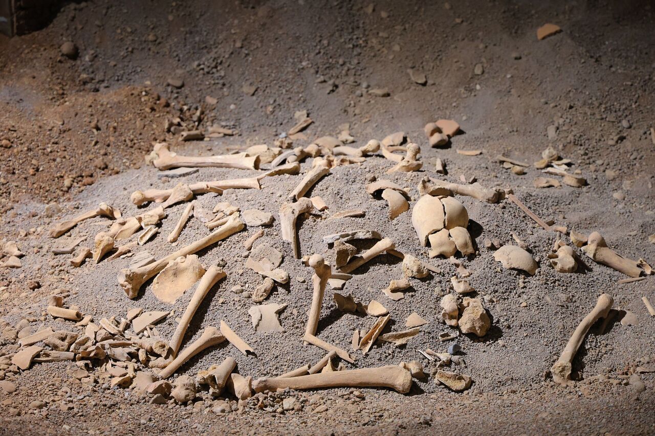 Depremden Sonra Kahramanmaraş’ta O Müze Kapılarını Yeniden Açtı (8)