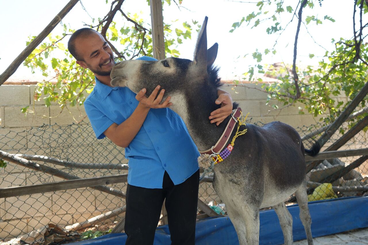 Gaziantepli Genç Yavru Eşeği Sahiplendi “Şanslı” Yeni Yuvasında (1)