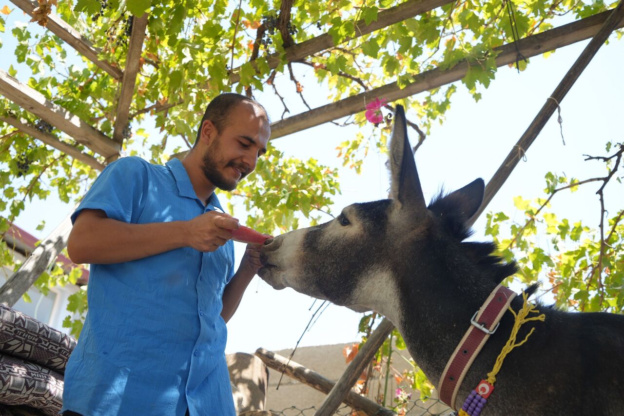 Gaziantepli Genç Yavru Eşeği Sahiplendi “Şanslı” Yeni Yuvasında (3)