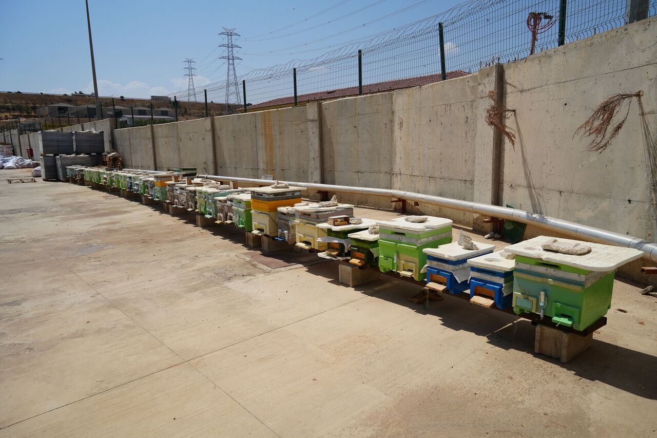 Gaziantep’te Apiterapi Merkezi Arı Kovanı Havasıyla Doğal Şifa (2)