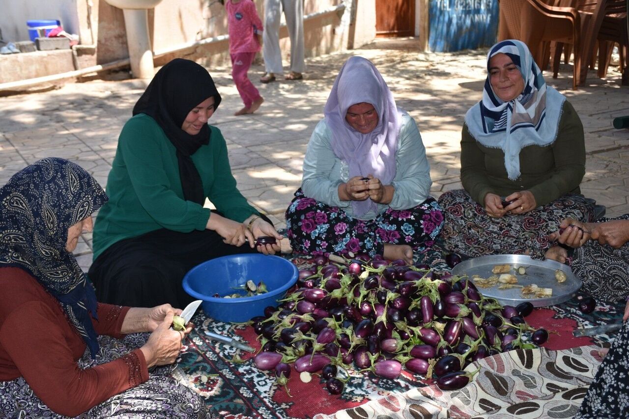 Gaziantep’te Kadınlar İmece Usulüyle Kurutmalık Hazırlıyor (1)