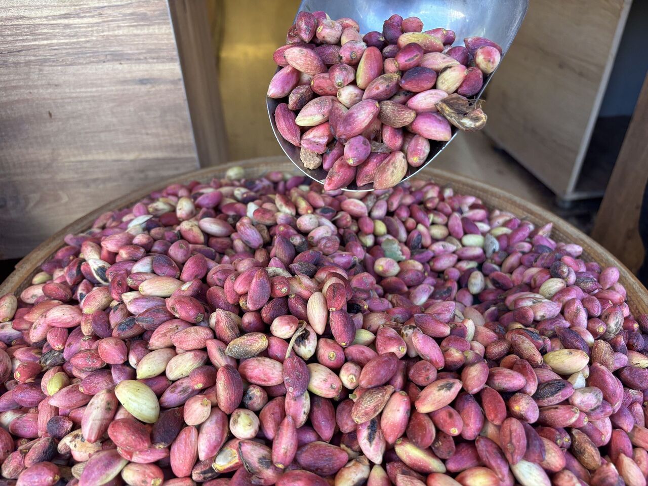 Gaziantep’te Yeni Mahsul Antep Fıstığı Tezgahlarda (3)