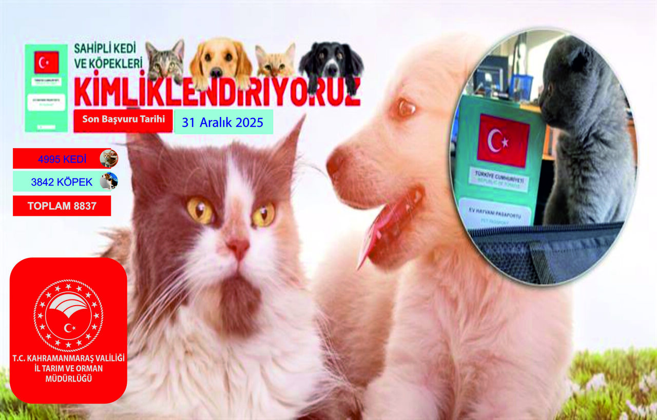 Gy816 B Z Wg A A V Hf F