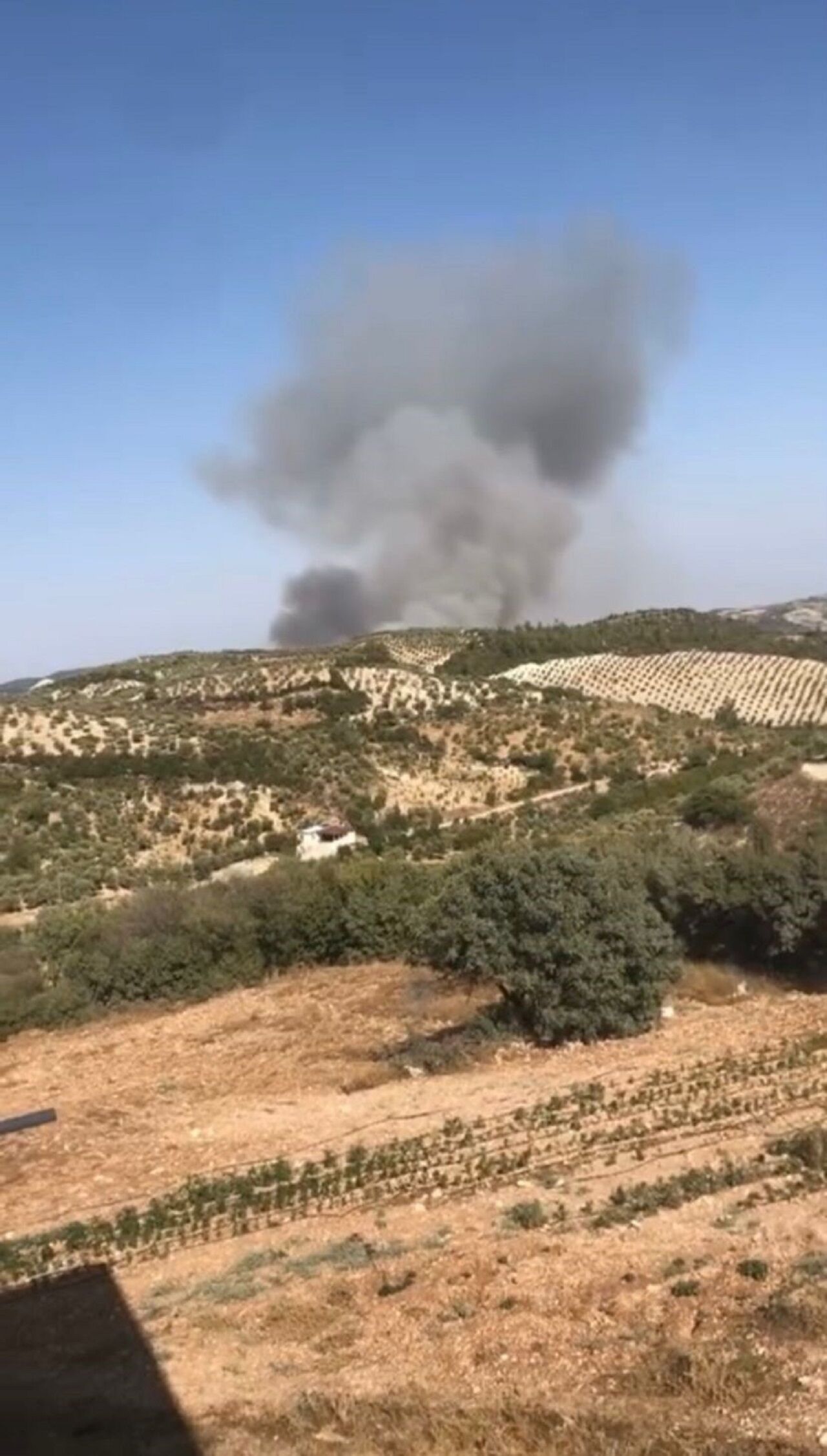 Hatay'da Orman Yangını (1)