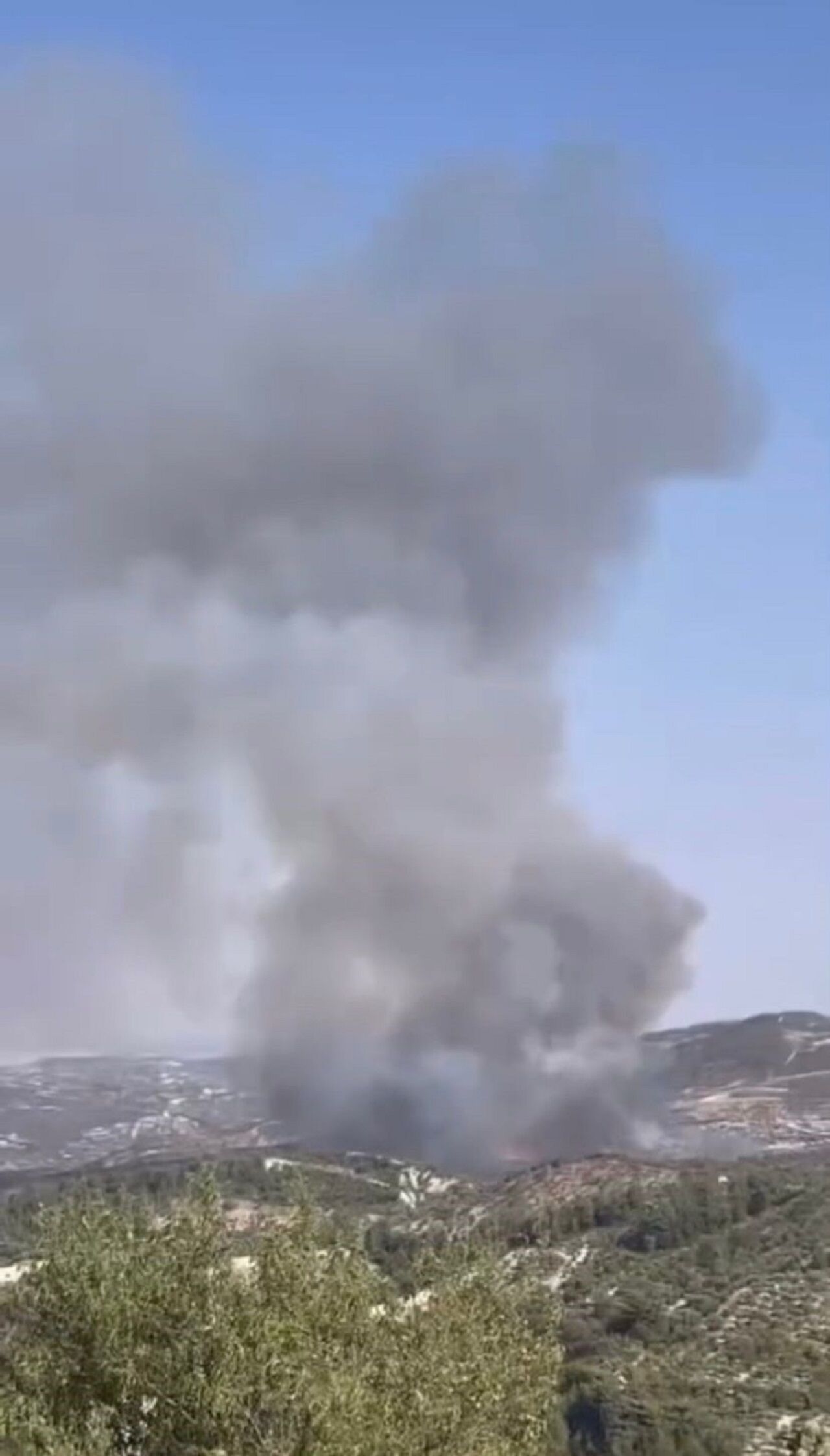 Hatay'da Orman Yangını (3)