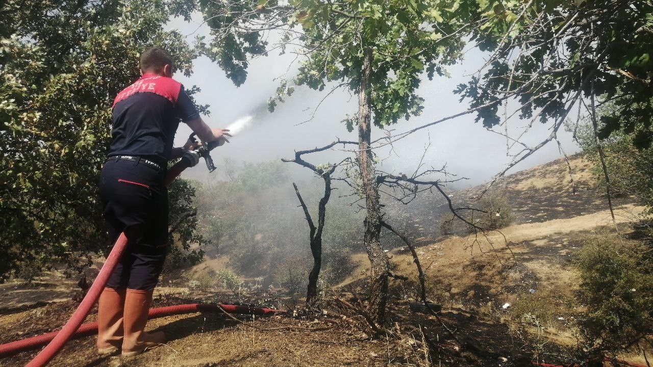 Isparta'da Çöplükte Çıkan Yangın Ormana Sıçramadan Söndürüldü (3)