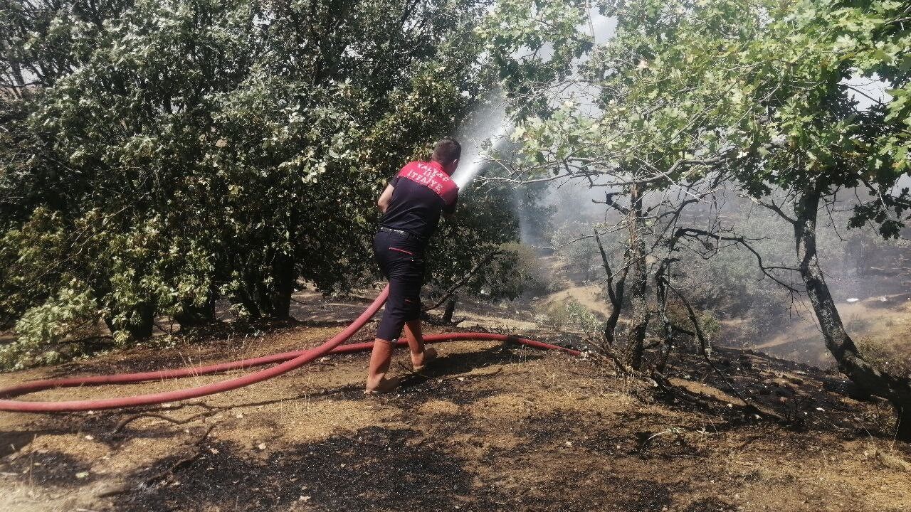 Isparta'da Çöplükte Çıkan Yangın Ormana Sıçramadan Söndürüldü (4)