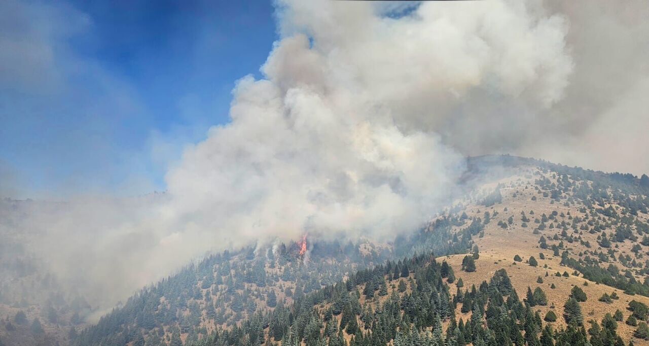 Kahramanmaraş Göksun’da Orman Yangını Alarmı (1)