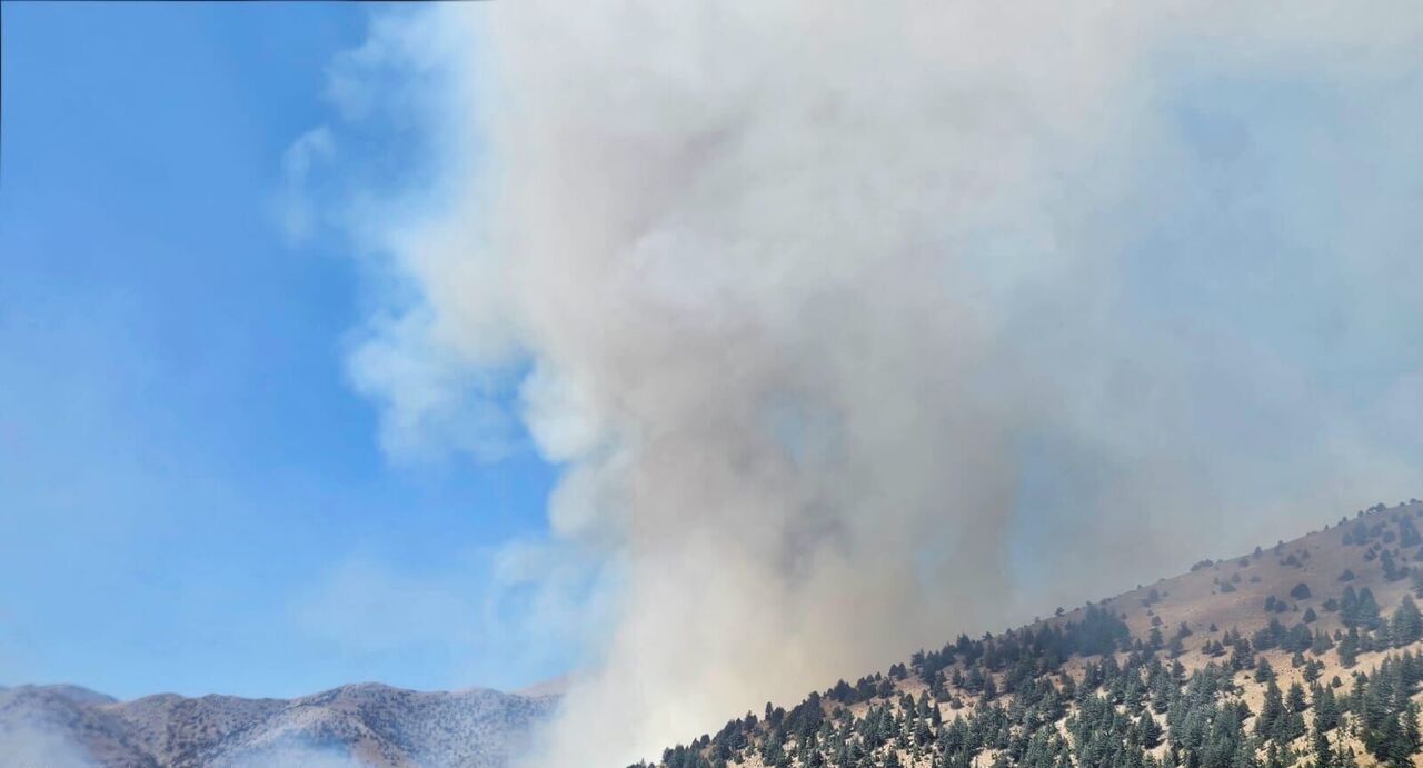 Kahramanmaraş Göksun’da Orman Yangını Alarmı (2)